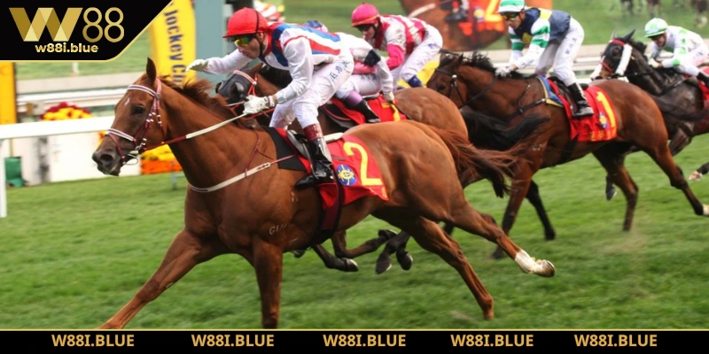 Thể Thao W88 - Sảnh Cá Độ Trực Tuyến Đáng Tin Cậy Nhất 3 Cá độ đua ngựa online gay cấn